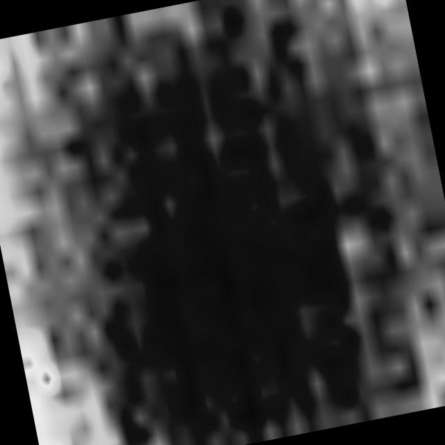 Dataset Image