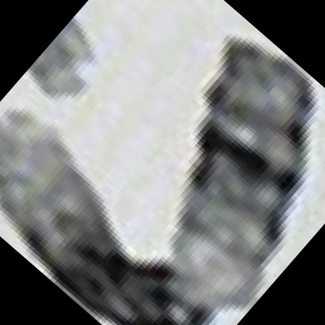 Dataset Image