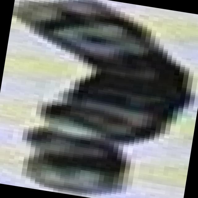 Dataset Image