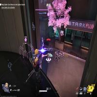 Dataset Image