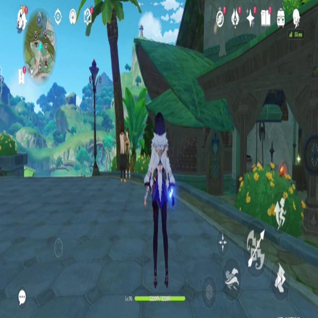 Dataset Image