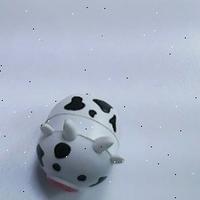 Dataset Image