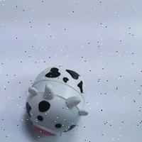 Dataset Image