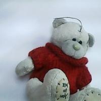 Dataset Image