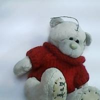 Dataset Image