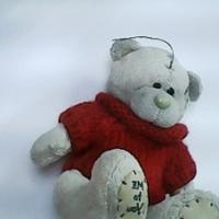 Dataset Image