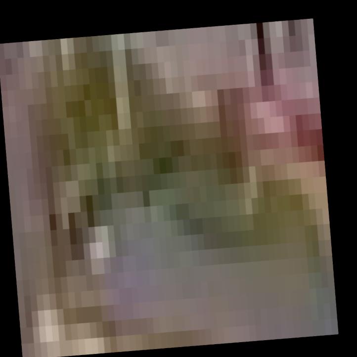 Dataset Image