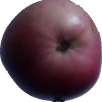 Dataset Image