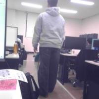 Dataset Image