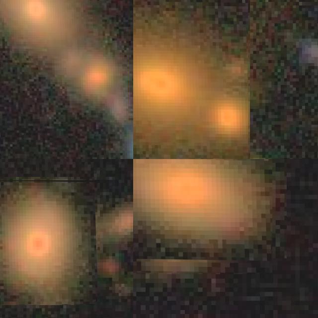 Dataset Image