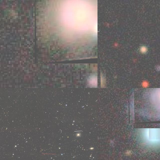 Dataset Image