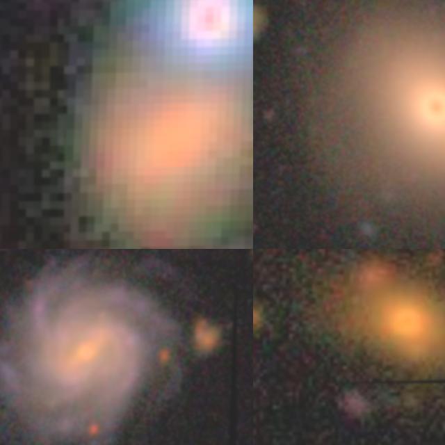 Dataset Image