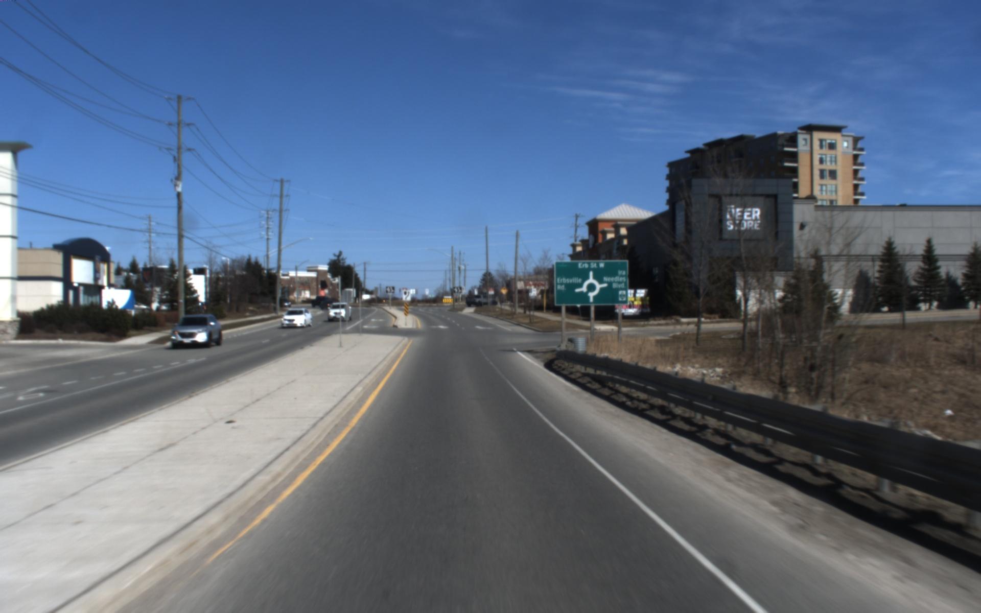 Dataset Image