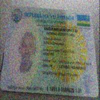 Dataset Image