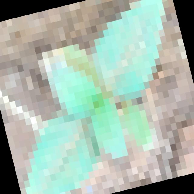 Dataset Image