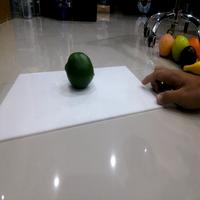 Dataset Image