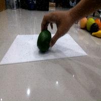 Dataset Image