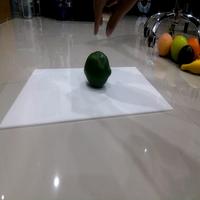 Dataset Image