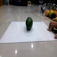 Dataset Image