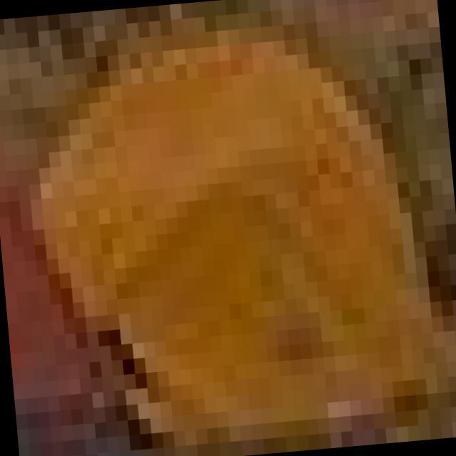 Dataset Image