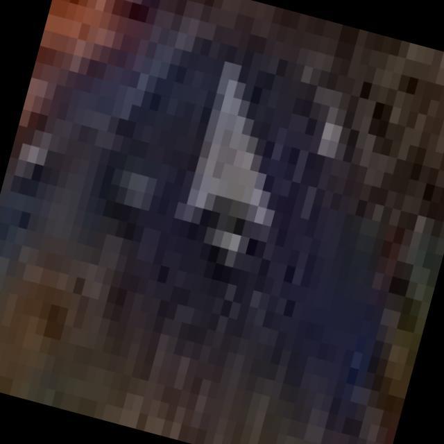 Dataset Image