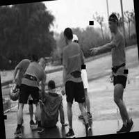 Dataset Image