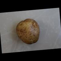 Dataset Image