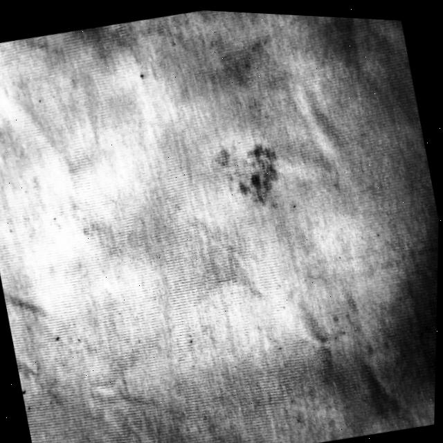 Dataset Image