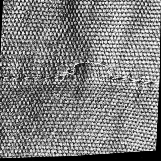 Dataset Image
