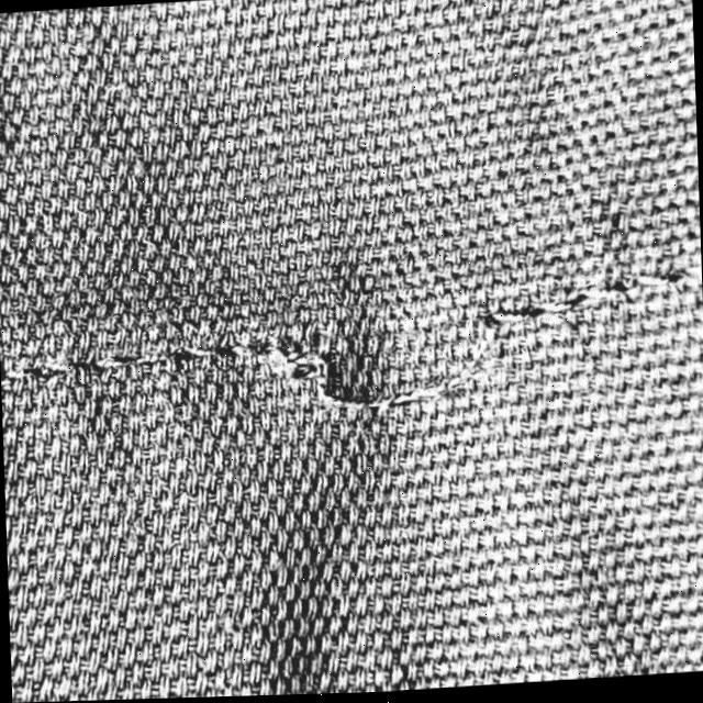 Dataset Image