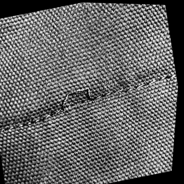 Dataset Image