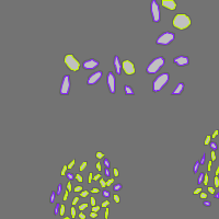 Annotation Visualization