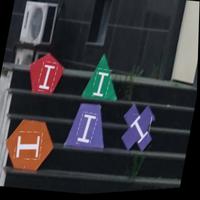 Dataset Image