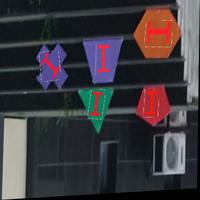 Dataset Image