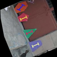 Dataset Image