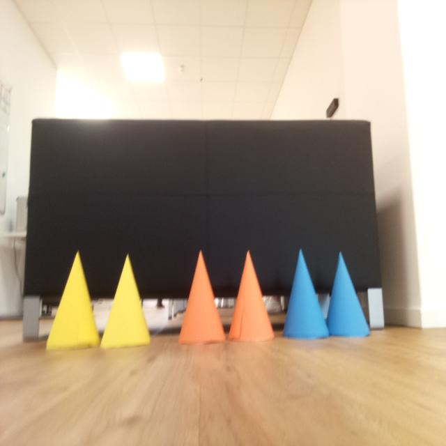 Dataset Image