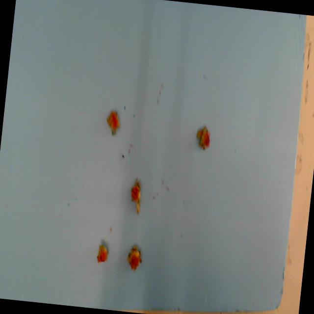 Dataset Image