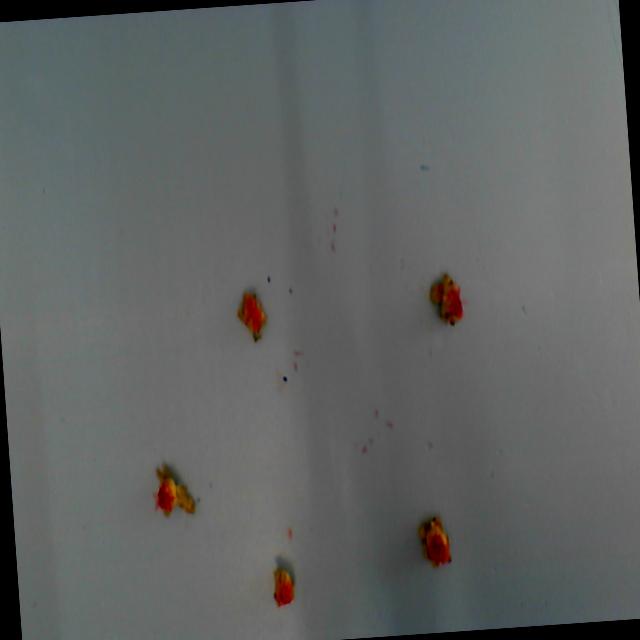 Dataset Image