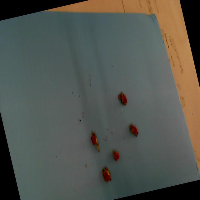 Dataset Image