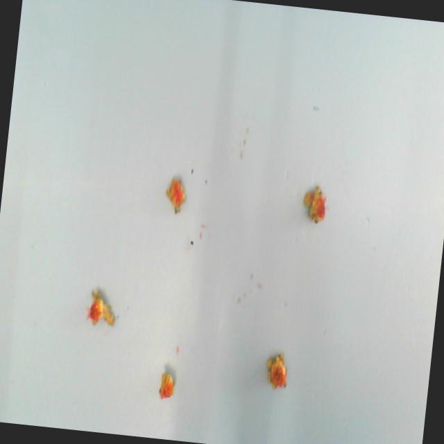 Dataset Image