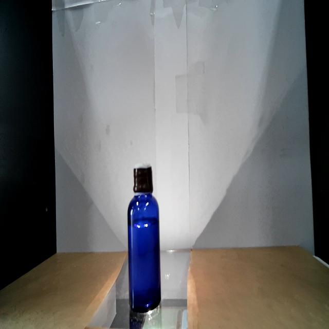 Dataset Image