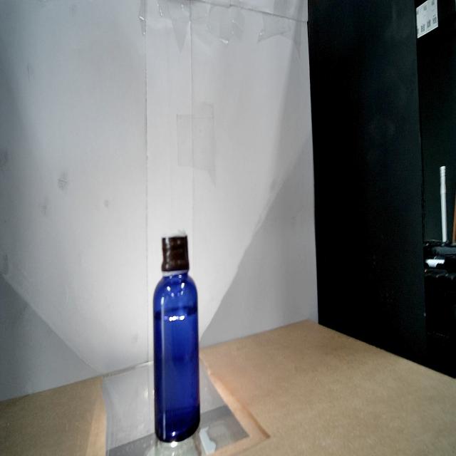 Dataset Image