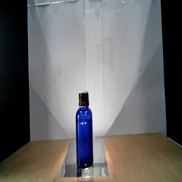 Dataset Image