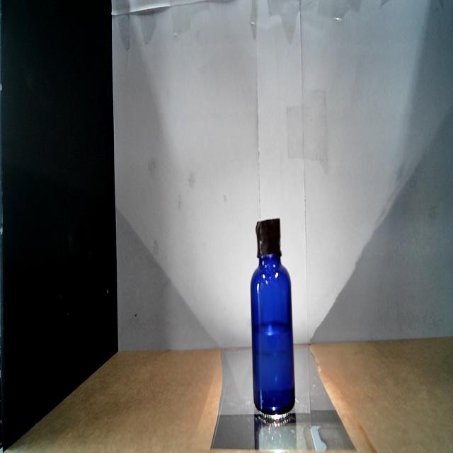 Dataset Image