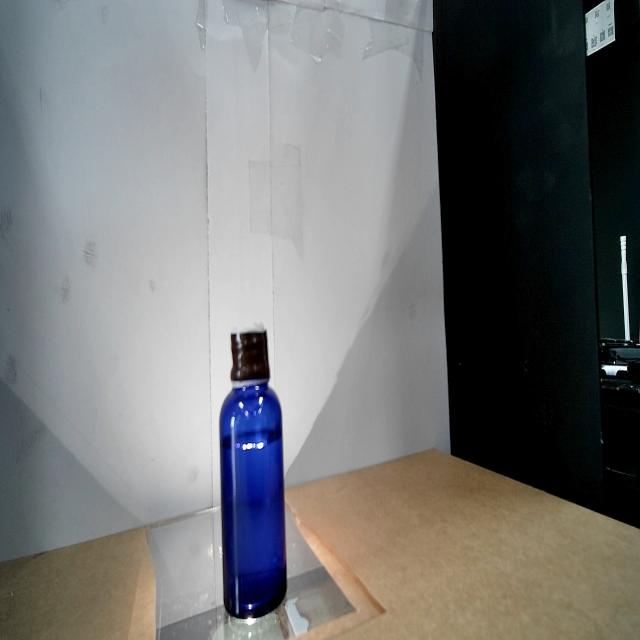 Dataset Image