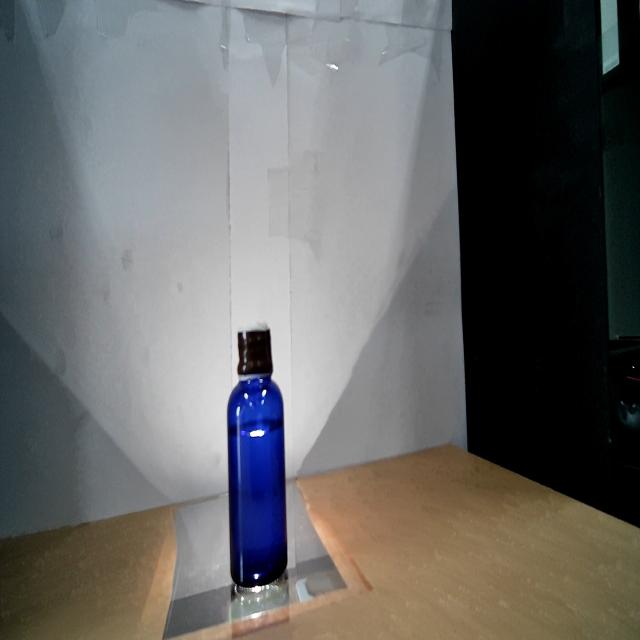 Dataset Image
