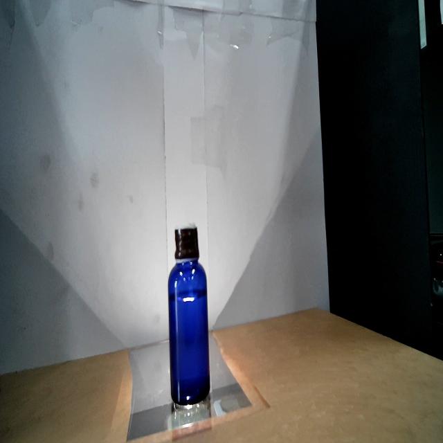 Dataset Image