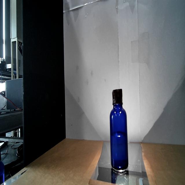 Dataset Image