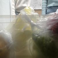 Dataset Image