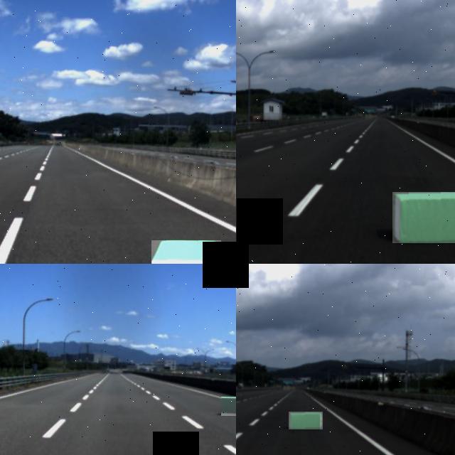 Dataset Image